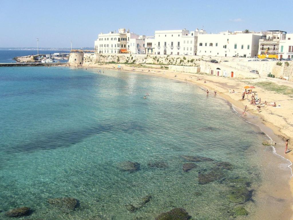 Minzoni Tony غالّيبولي المظهر الخارجي الصورة