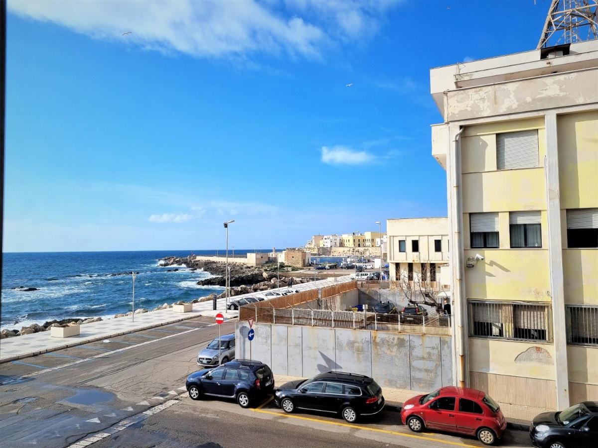 Minzoni Tony غالّيبولي المظهر الخارجي الصورة