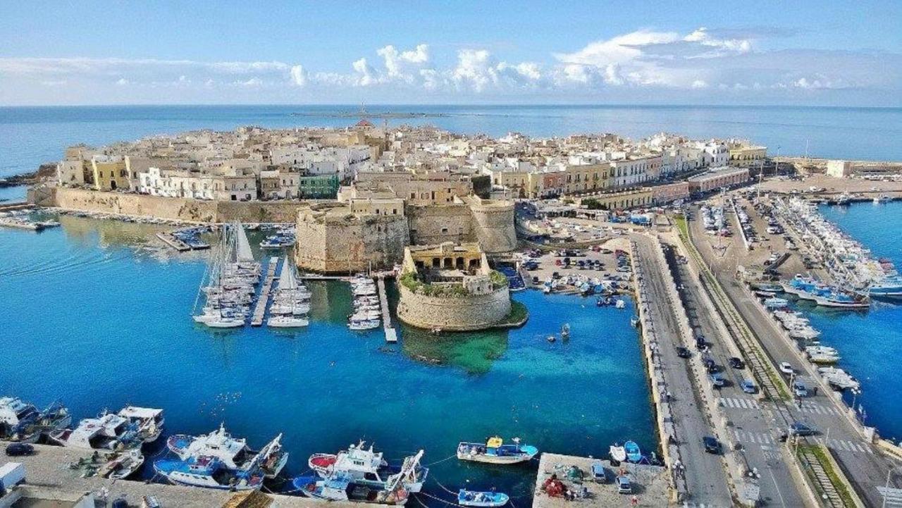Minzoni Tony غالّيبولي المظهر الخارجي الصورة
